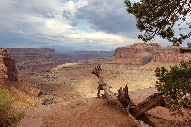Canyonlands National Park Backcountry 4x4 Adventure From Moab - Exciting Off-Roading