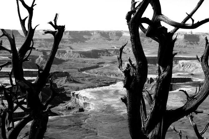 Canyonlands National Park Half-Day Tour From Moab - Traveler Experiences and Recommendations