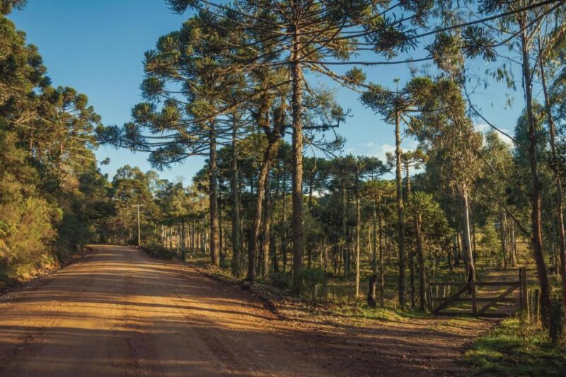 Canyons in Brazil, 2 Days Tour With English Speaking Guide - About the Operator