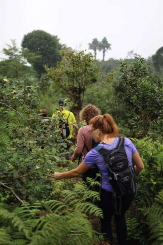 Cao Bang: 2 Day - Visit Ban Gioc Waterfall & Local Village - Frequently Asked Questions