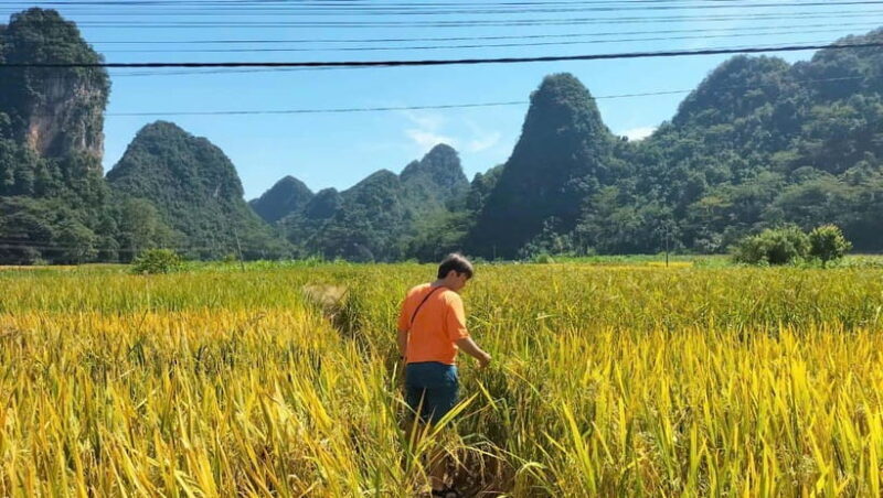 Cao Bang: 3-Day Cao Bang Loop Tour Visit Local Village - Tour Overview and Pricing
