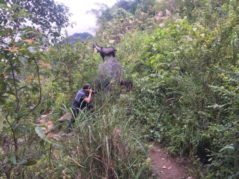 Cao Bang: Cao Bang Trekking Tour : 2 Day 1 Night - Key Points