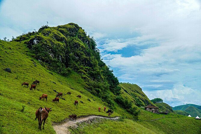 Cao Bang Loop 3 Days Easy Rider with The Loop Tours - Final Thoughts: Is This Tour Worth It?