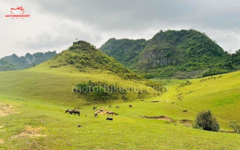 Cao Bang Loop With Adventure Motorbike Viet Tour - 2 Days - Adventure Motorbike Exploration