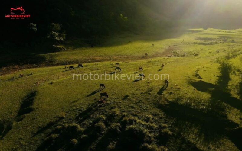Cao Bang Loop With Adventure Motorbike Viet Tour - 2 Days - Visiting Cultural Destinations