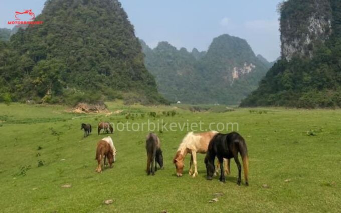Cao Bang Loop With Adventure Motorbike Viet Tour - 2 Days - Caving and River Swimming