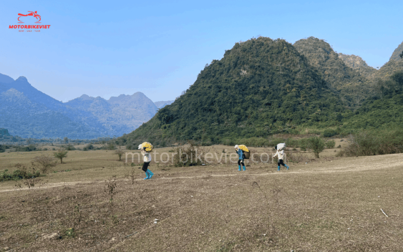 Cao Bang Tour 5 Days 4 Nights Departs From Hanoi - Included Services