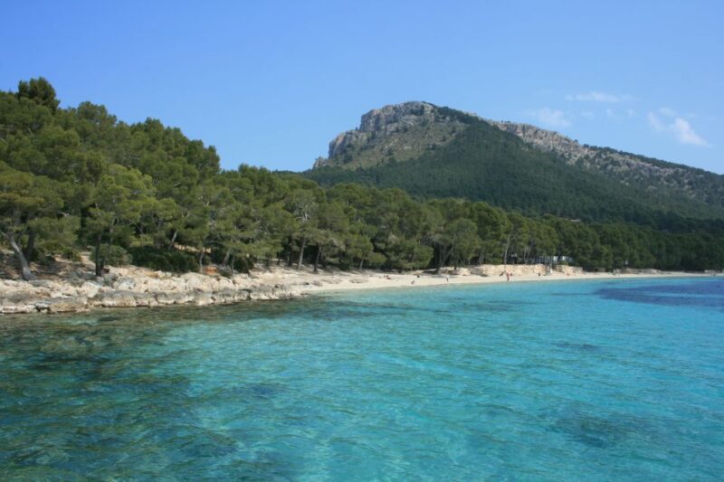 Cap De Formentor: Market, Beach, and Alcudia Tour - Formentor Beach Experience