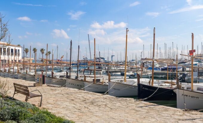 Cap De Formentor: Market, Beach, and Alcudia Tour - Included Lunch