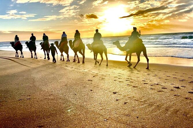 Cap Startel and Camel Ride in Achakkar Beach at Sunset With BBQ - Meeting and Pickup