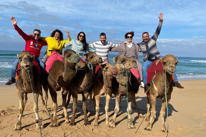 Cap Startel and Camel Ride in Achakkar Beach at Sunset With BBQ - Reviews and Ratings