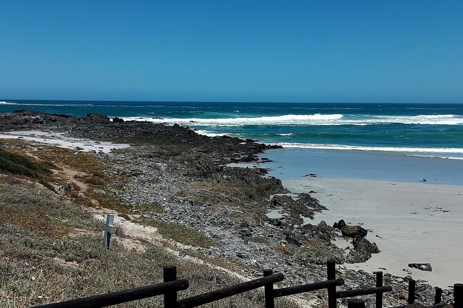 Cape Agulhas Full Day Private Tour - Tour Highlights