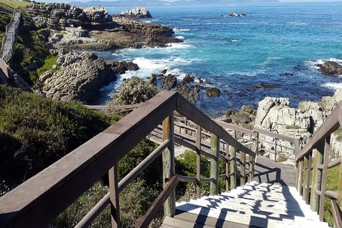 Cape Agulhas Full Day Private Tour - Lunch Recommendations