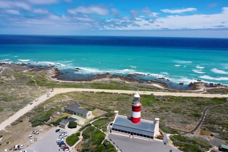 Cape Agulhas Full Day Tour | The Southernmost Tip of Africa - Stony Point Nature Reserve