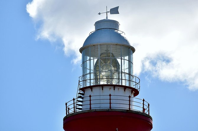 Cape Agulhas | Stony Point Nature Reserve - Other Attractions at Cape Agulhas
