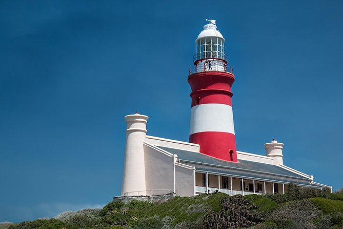 Cape Agulhas | Stony Point Nature Reserve - Tips for Your Visit