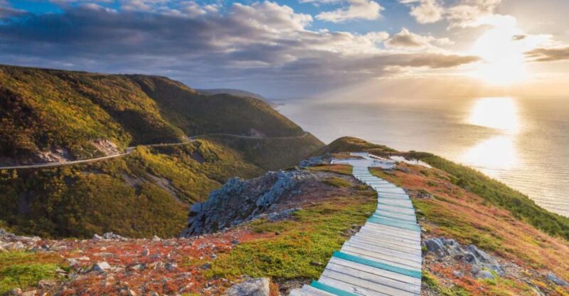 Cape Breton Island: Shore Excursion of The Skyline Trail - Highlights of the Experience