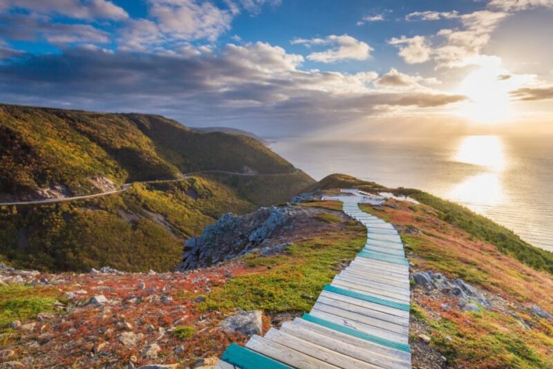 Cape Breton Island: Shore Excursion of The Skyline Trail - Detailed Itinerary