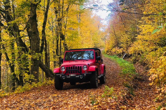 Cape Breton On/Off Road Scenic Adventure - Meeting Point and Directions