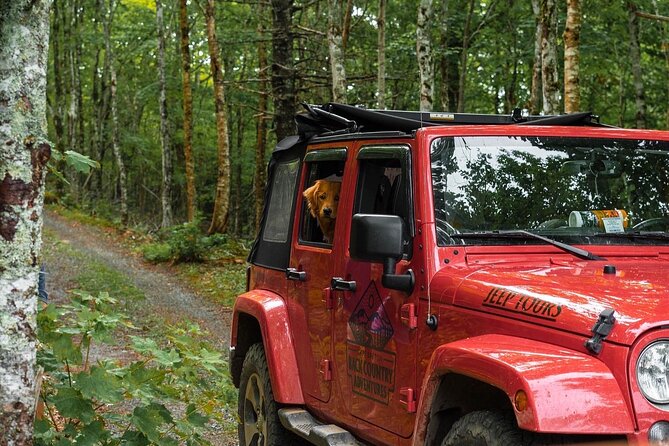 Cape Breton On/Off Road Scenic Adventure - Traveling With an Infant