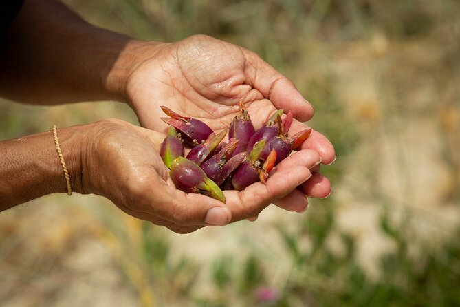 Cape Byron Aboriginal Tour - Meeting and End Points