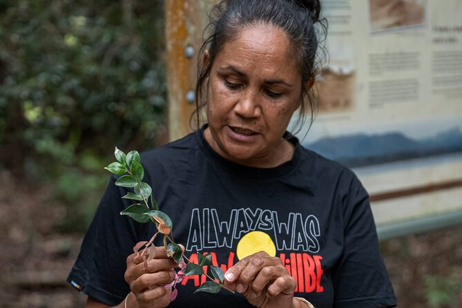 Cape Byron Aboriginal Tour - Accessibility and Health
