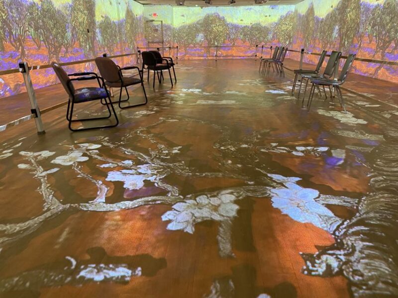 Cape Canaveral: Wizard of Oz Museum Entry Ticket - Key Points