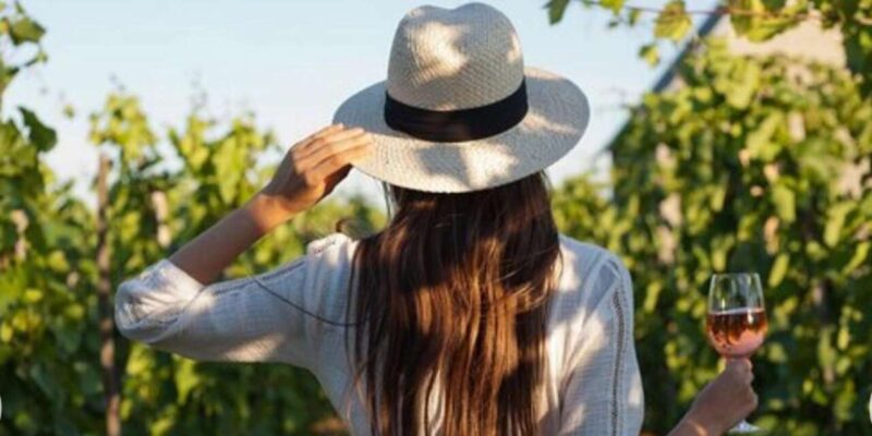 Cape City Tour and Award-Winning Constantia Wineries. - Itinerary Highlights