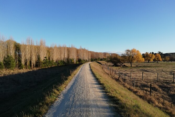 Cape Coast Wineries Self-Guided Scenic Bike Tour From Napier - Customer Feedback and Recommendations