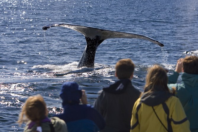 Cape Cod Day Trip From Manhattan by Helicopter - Inclusions and Exclusions of the Package