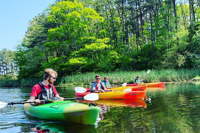 Cape Cod Explorer Tour - Destination Highlights