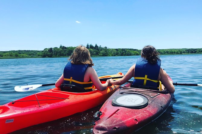 Cape Cod Explorer Tour - Guided Kayaking Experience