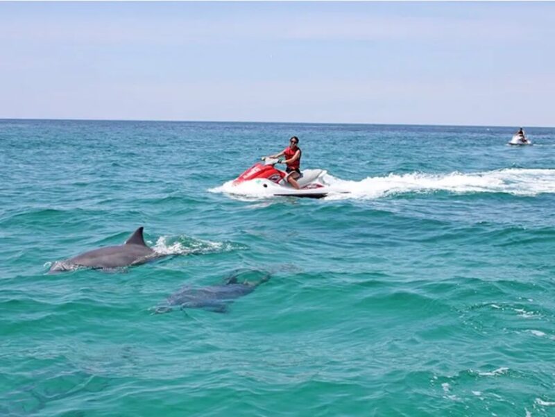 Cape Coral and Fort Myers: Wild Life Jet Ski Tour - Age and Accompaniment