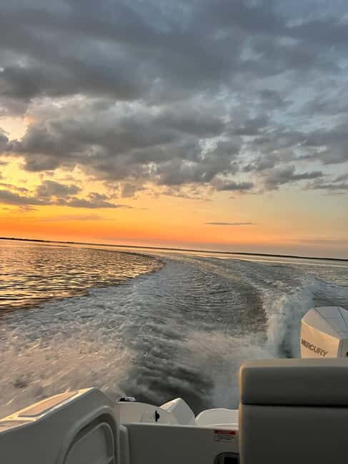 Cape Coral: Private Dolphin and Sunset Cruise - What Makes This Tour Worth Considering?