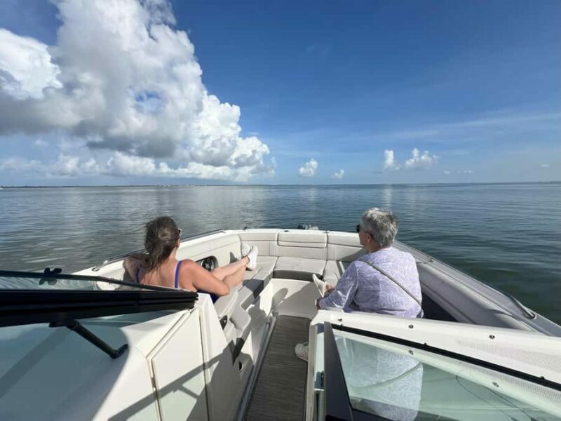 Cape Coral: Private Dolphin Watching and Dock & Dine Cruise - What Is the Cape Coral Private Dolphin Watching and Dock & Dine Cruise?
