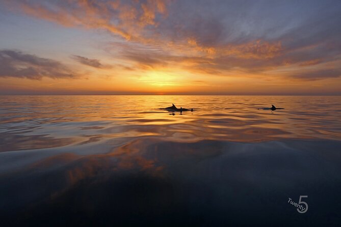 Cape Kamenjak Guided Kayak Sunset Tour With Island Exploring - Tour Experience and Activities