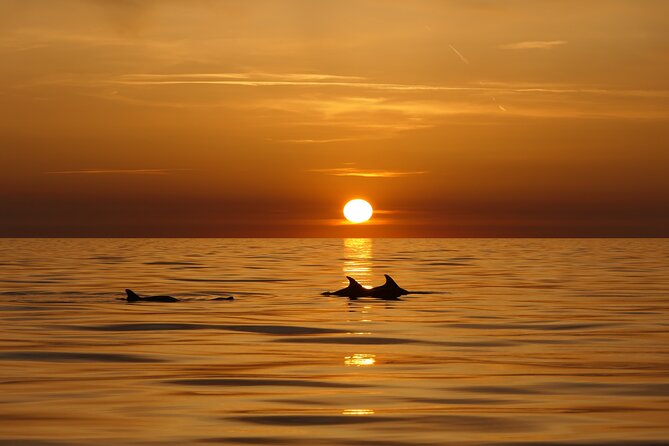 Cape Kamenjak Guided Kayak Sunset Tour With Island Exploring - Exploring Fenoliga Island