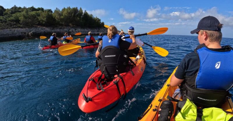 Cape Kamenjak: Guided Kayak Tours Snorkeling, Cave & Cliff - Diverse Experiences and Highlights