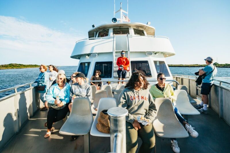 Cape May: Cape May Island Sunset Cruise & Dolphin Watching - Highlights and Experience