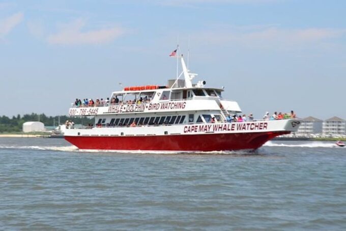 Cape May: Grand Lighthouse Cruise - Departure and Logistics