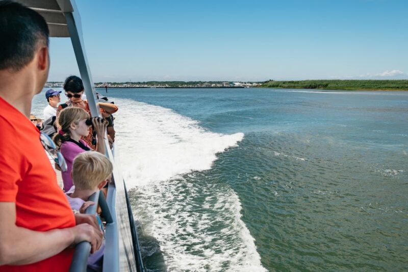 Cape May: Jersey Shore Whale and Dolphin Watching Cruise - Customer Feedback
