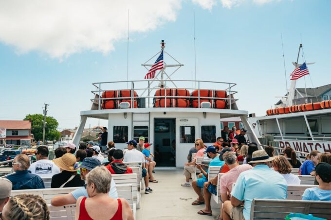 Cape May: Jersey Shore Whale and Dolphin Watching Cruise - Accessibility and Capacity
