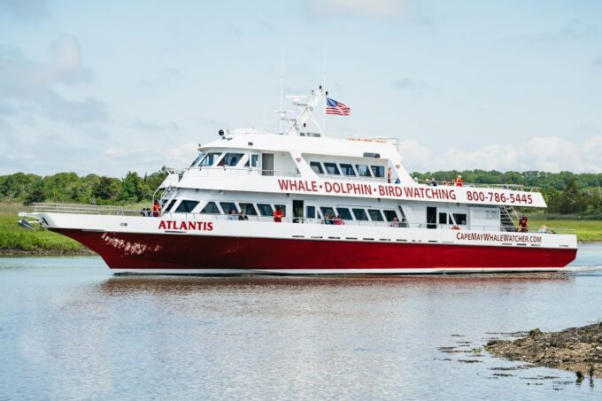 Cape May: Jersey Shore Whale and Dolphin Watching Cruise - Frequently Asked Questions