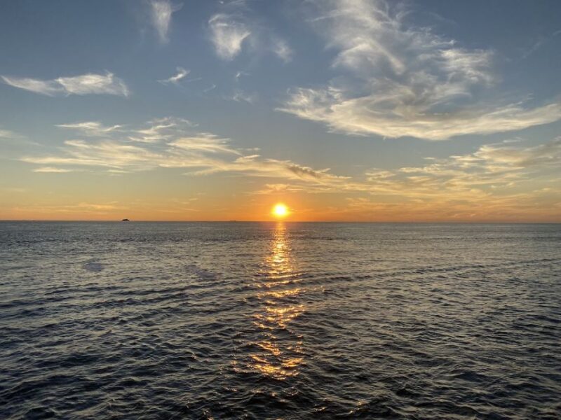 Cape May: Sunset Dolphin Watching Cruise With Food - Key Points