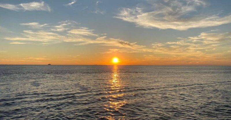 Cape May: Sunset Dolphin Watching Cruise With Food - What to Expect