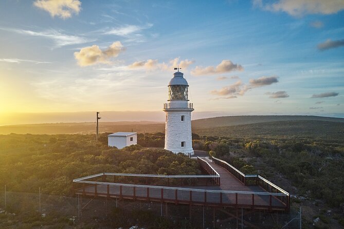 Cape Naturaliste Lighthouse Fully-guided Tour - Experience Highlights