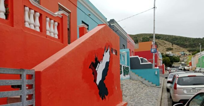 Cape of Good Hope and Boulder's Beach Penguins Private Tours - Discover African Penguins