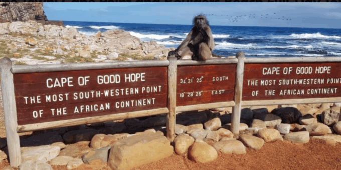 Cape of Good Hope and Boulders Beach Private Tour - Hike to Cape Point