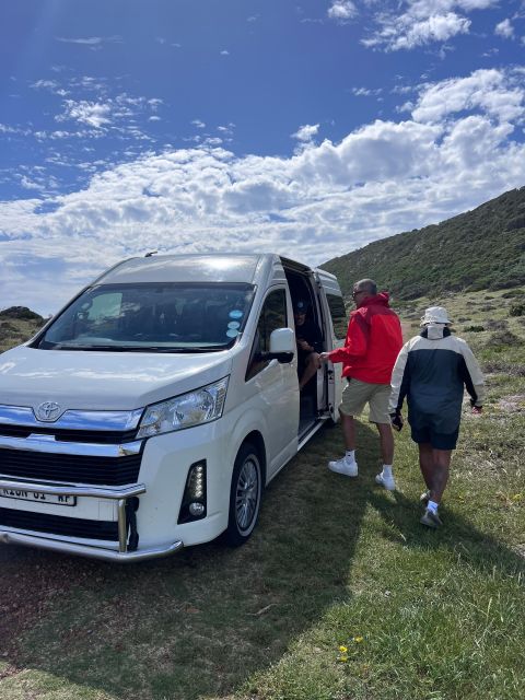 Cape of Good Hope and Penguins Full-Day Private Tour - Infant Car Seats