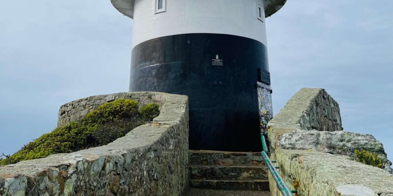 Cape of Good Hope and Penguins Group Tour Full Day - Included in Tour